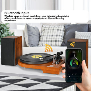 Wooden Bluetooth Input & Output Turntable with Unusual Shape UD009