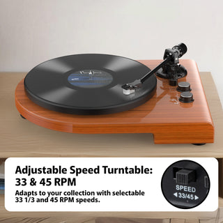 High Quality Wooden Bluetooth In&Out Turntable with ATN-3600L Stylus UD009