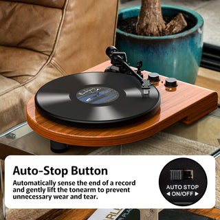 High Quality Wooden Bluetooth In&Out Turntable with ATN-3600L Stylus UD009