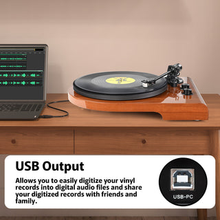 High Quality Wooden Bluetooth In&Out Turntable with ATN-3600L Stylus UD009