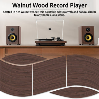 Bluetooth Input & Output Record Player HiFi System with 60W Speakers UD016