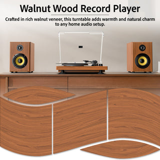 Bluetooth Input & Output Record Player HiFi System with 60W Speakers UD016