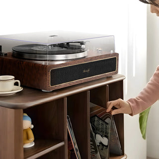 The Reason to Choose Retrolife R517 Record Player