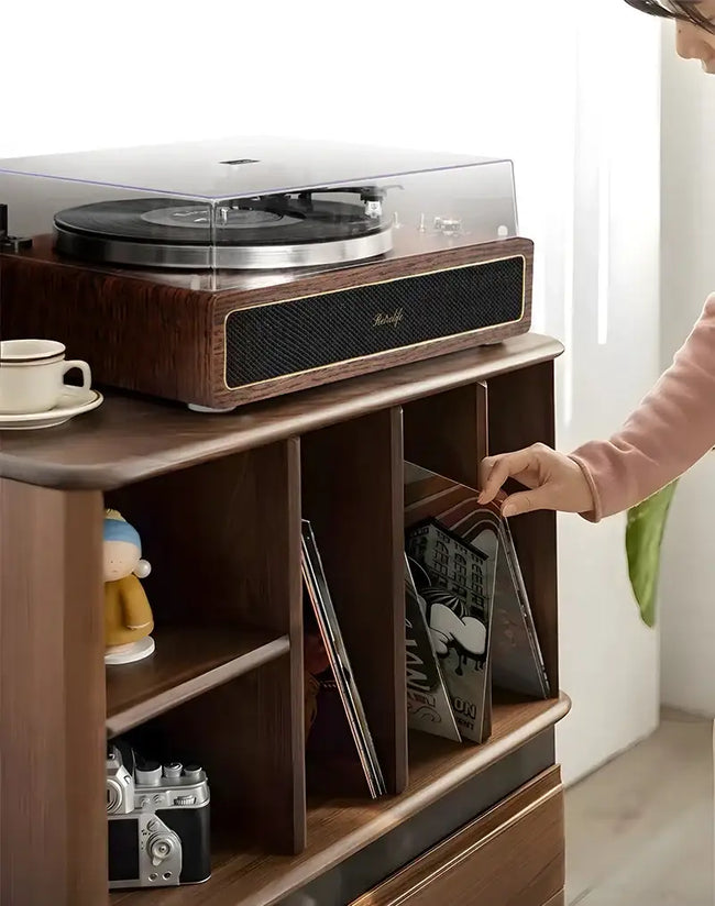 All-in-One Record Player | Retrolife – Retrolife Official Store