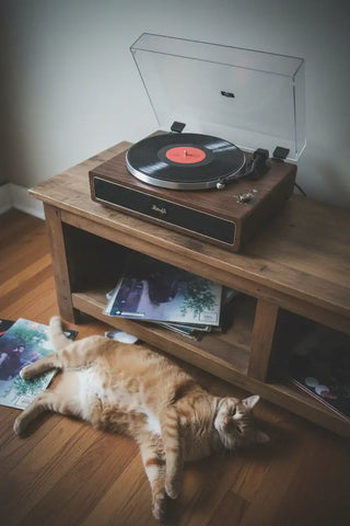 Retrolife HiFi Record Player with Audio-Technica MM Stylus, ideal Christmas Gift for Vinyl Lovers