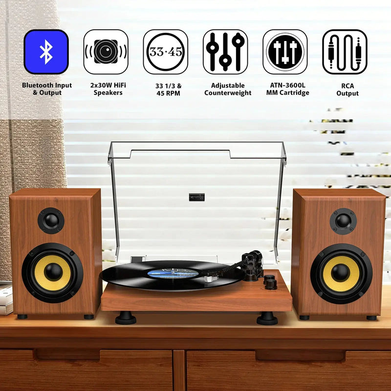 Turntable HiFi System UD016