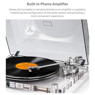 Bluetooth Output Turntable with MM Cartridge & Adjustable Counterweight ICE1