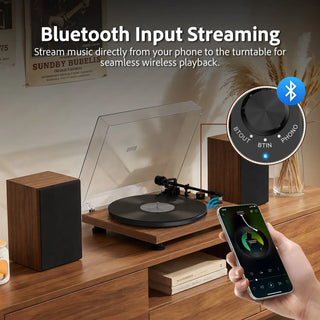 Bluetooth Input and Output Record Player HiFi System with Dual 20-Watt Stereo Speakers UD006  Retrolife Official Store 